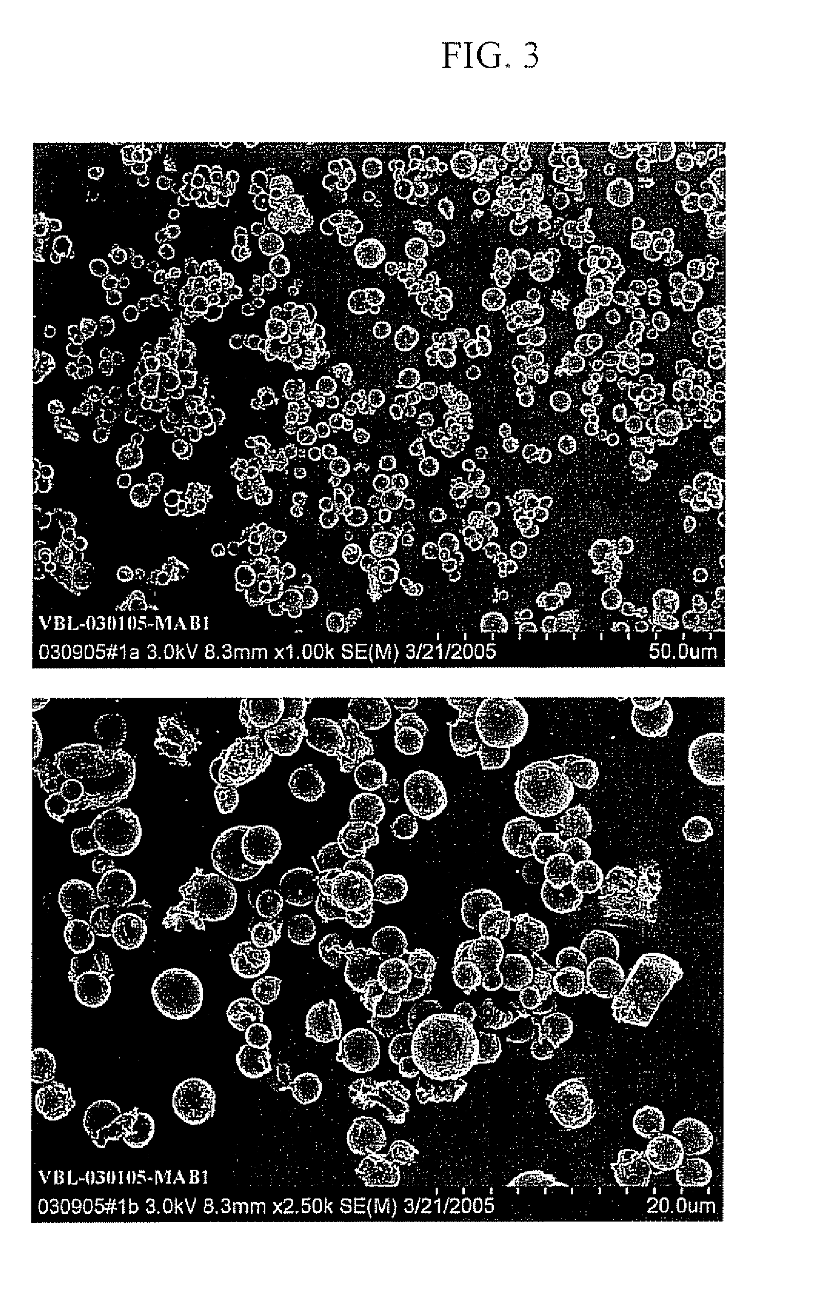 Protein Microspheres Retaining Pharmacokinetic and Pharmacodynamic Properties