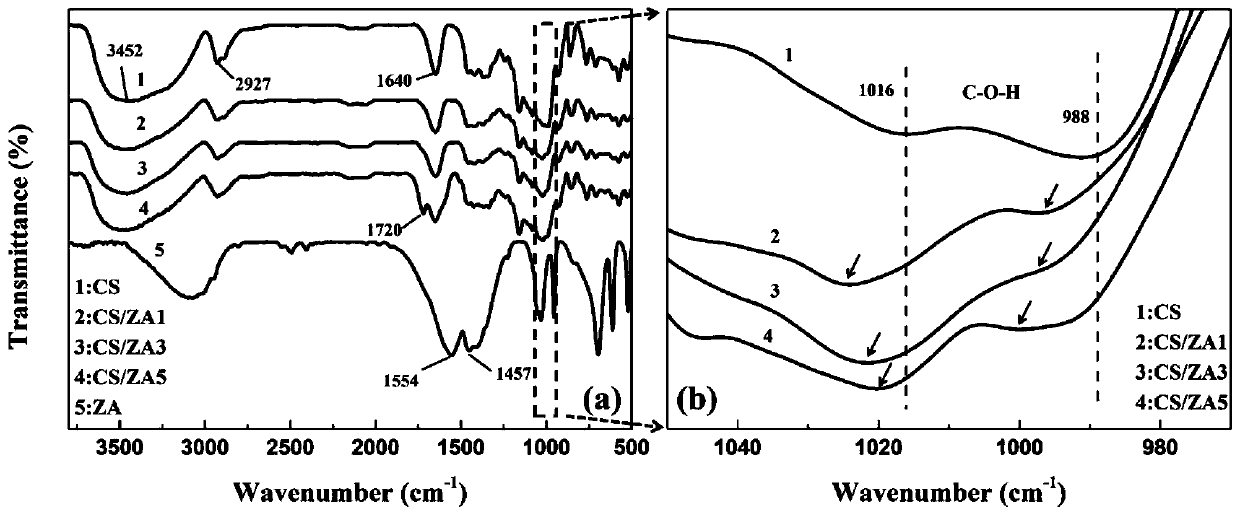 Thermoplastic starch based on coordination effect as well as preparation method and application of thermoplastic starch