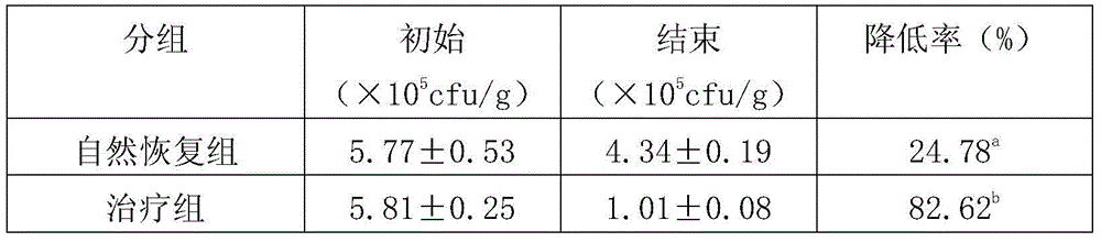 A health food capable of improving intestinal flora and preparation method thereof