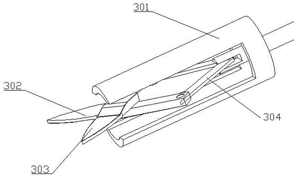 Oral operation distal operation crown scissors