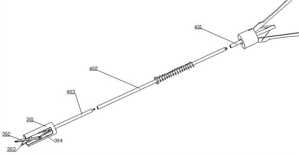 Oral operation distal operation crown scissors