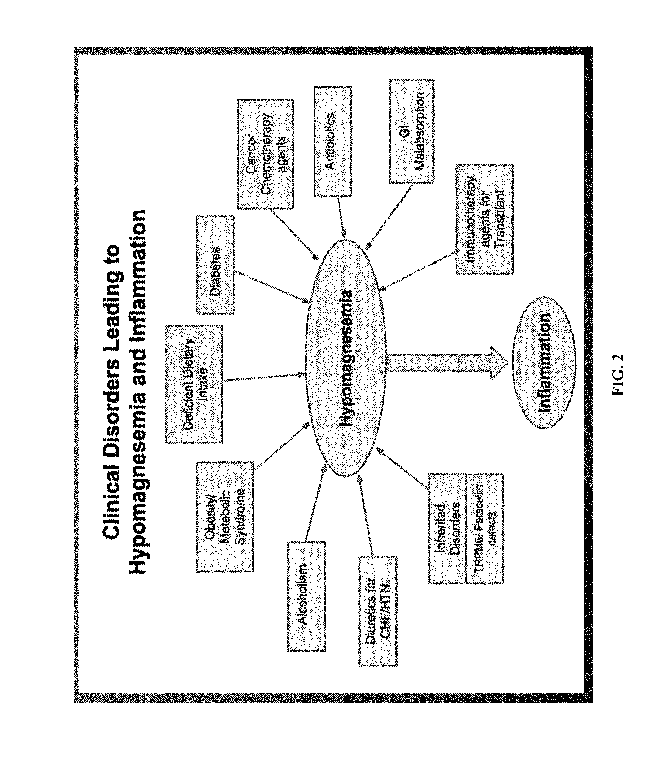 Use of nk-1 receptor antagonists for treating hypomagnesemia, neurogenic inflammation, and cardiac dysfunction associated with egfr-blocking drugs