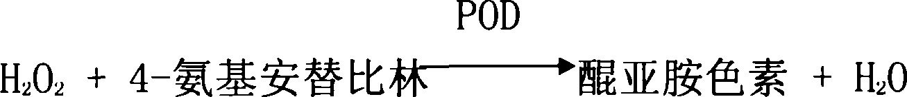 Method for determining cholesterol concentration in remnant lipoprotein by immunobinding direct process or immuno-precipitation separation process