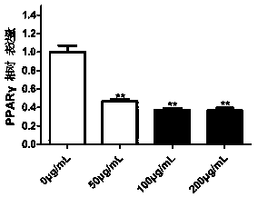 Use of carageen polysaccharide in inhibiting mesenchymal stem cell adipogenic transformation