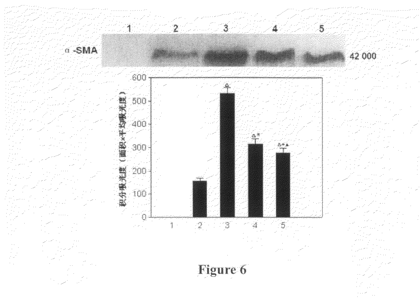 Arg-Gly-Asp (RGD) Sequence Containing Cyclic Peptide and Its Active Targeting Liposomes