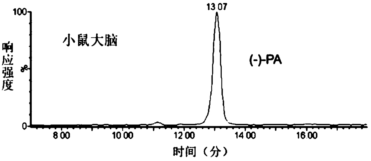 neuroprotective agent