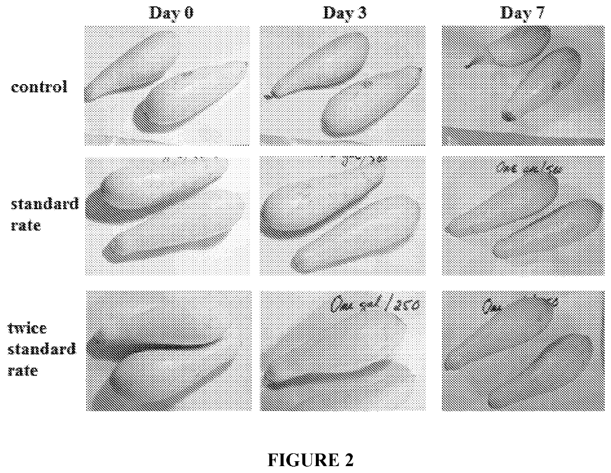 Treatment for plants in conjunction with harvesting