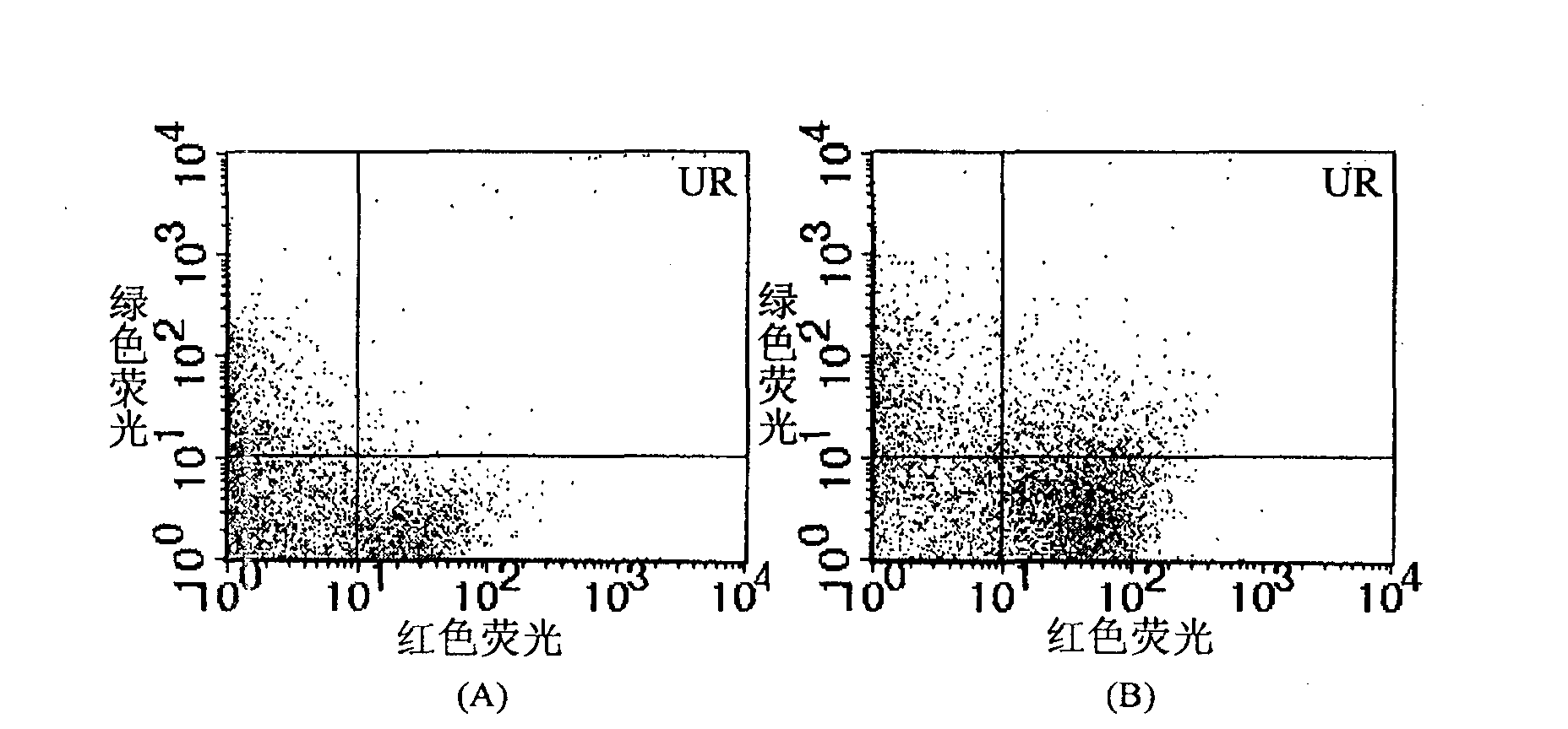 Method for detecting bacillus tubercle by adopting double-color flow cytometry