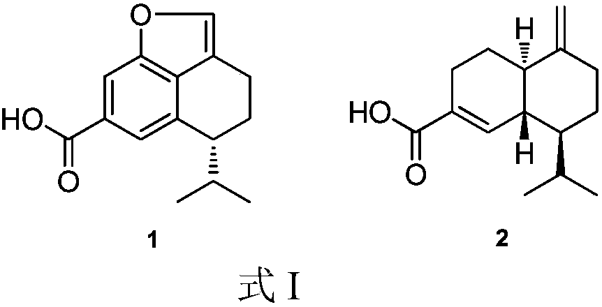 Sesquiterpene compound and preparation method and application thereof