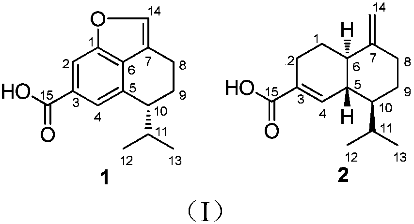 Sesquiterpene compound and preparation method and application thereof