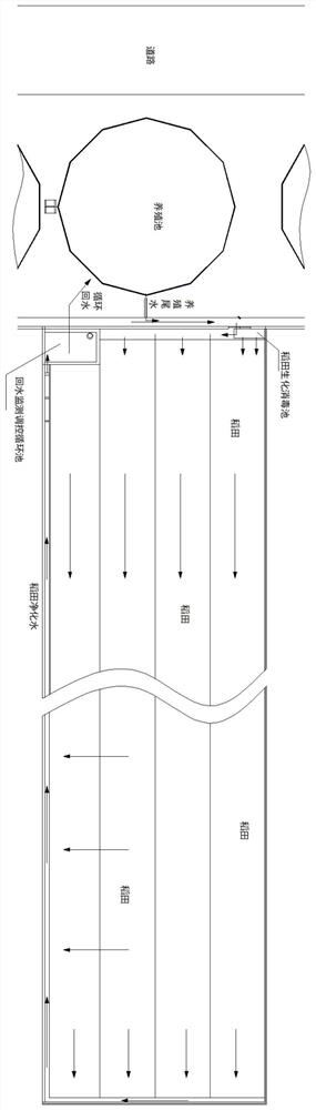 High-efficiency low-carbon circulating rice and fish culture system and culture method