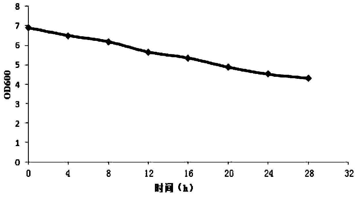 A strain of Lactobacillus paracasei and its application