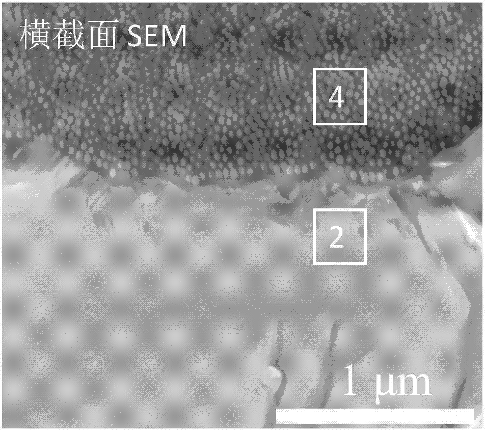 Perovskite wideband flexible light detector and a preparation method thereof