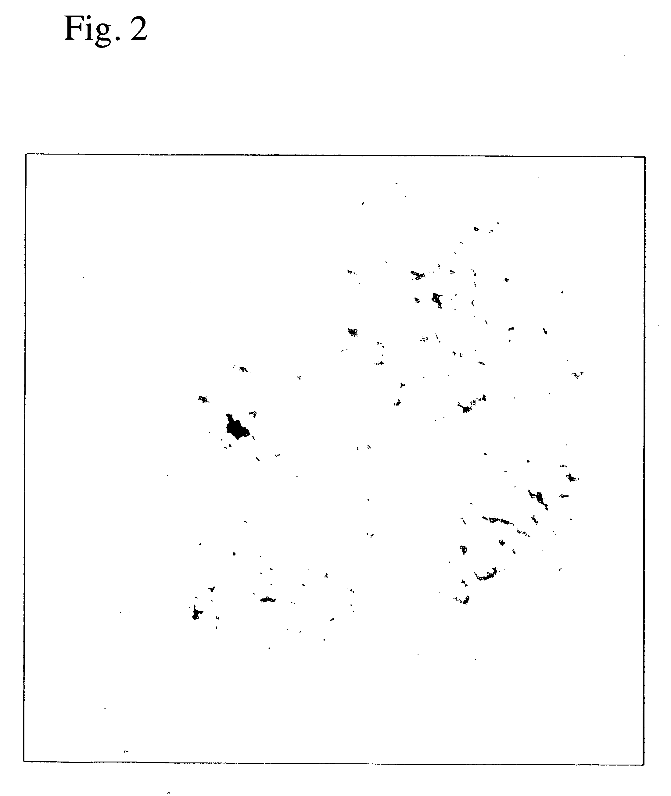 Method for producing micro-porous film of thermoplastic resin