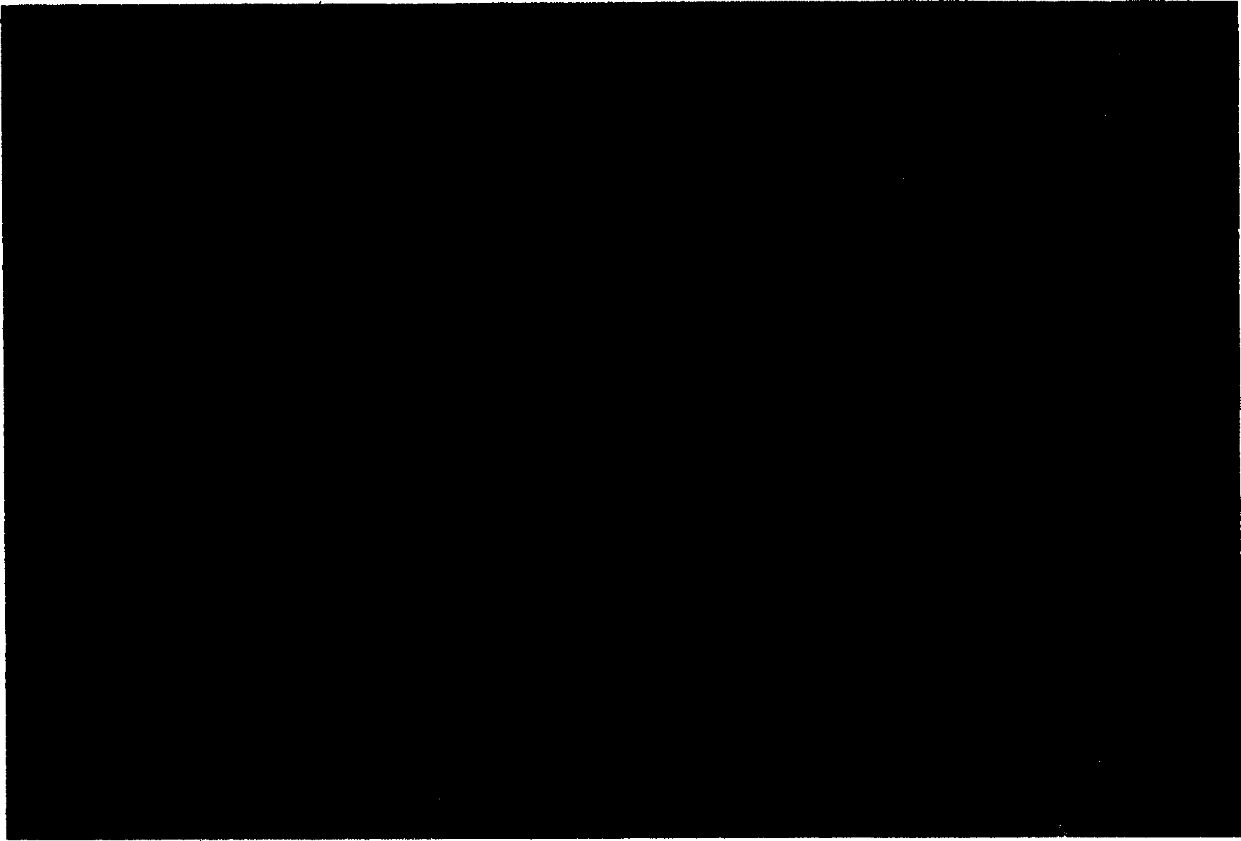 Treating material for polluted water, method for production thereof and use thereof