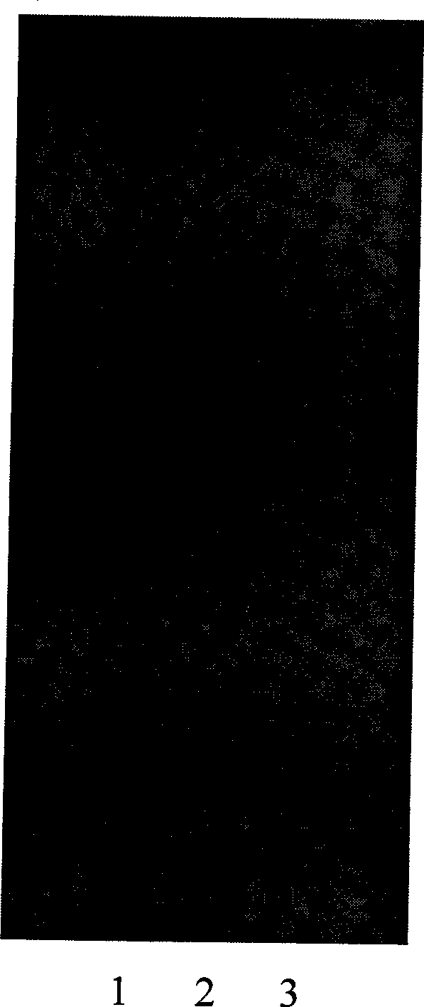 Chinese medicinal composition for treating gastropathy as well as preparation and quality control method thereof