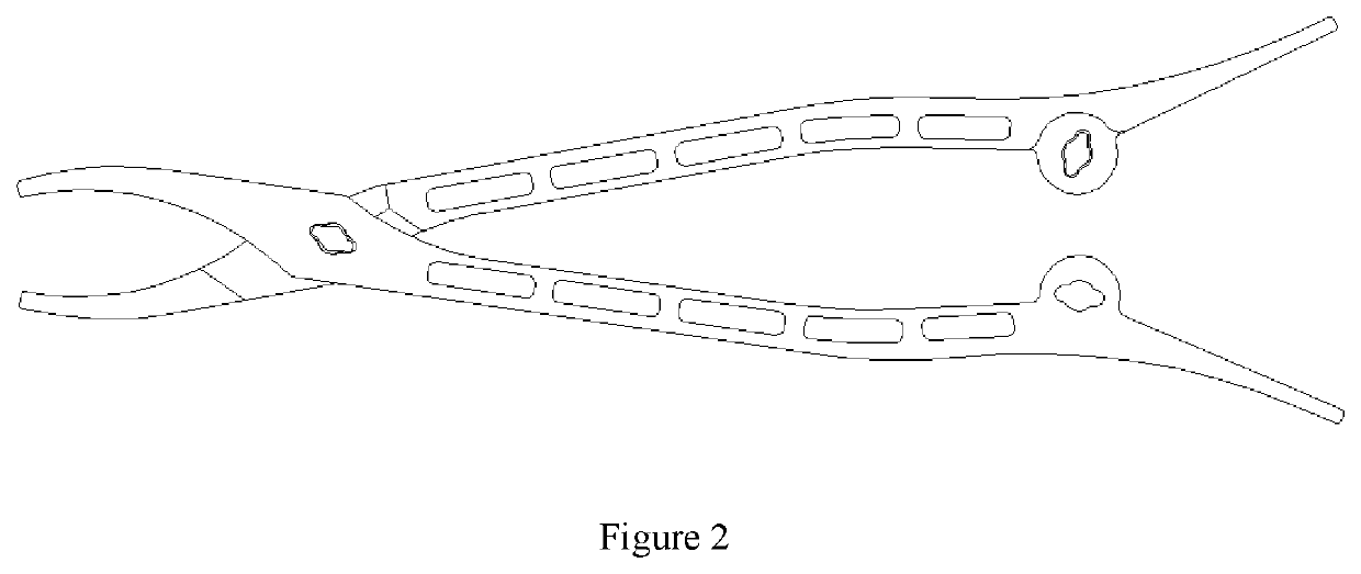 Double-purpose forceps