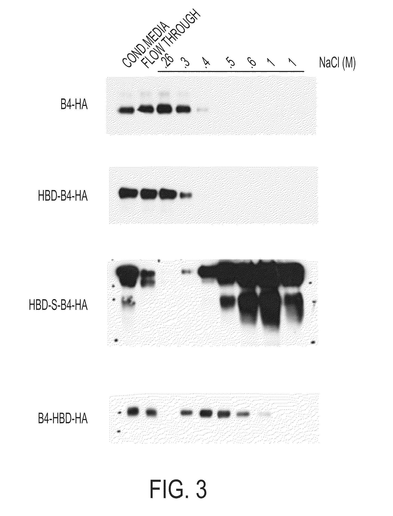 Hybrid proteins with ErbB4 extracellular domain and neuregulin heparin-binding domain for targeting