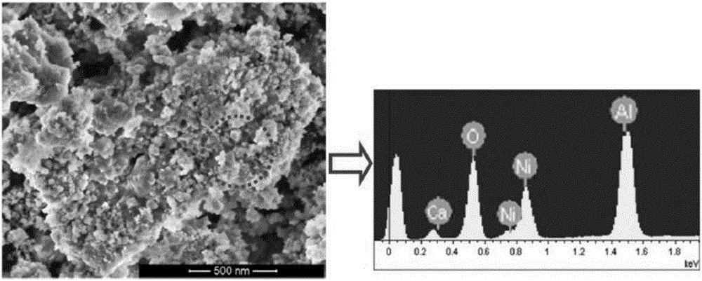 Multi-functional catalyst for reforming hydrogen production and preparation method and application of catalyst