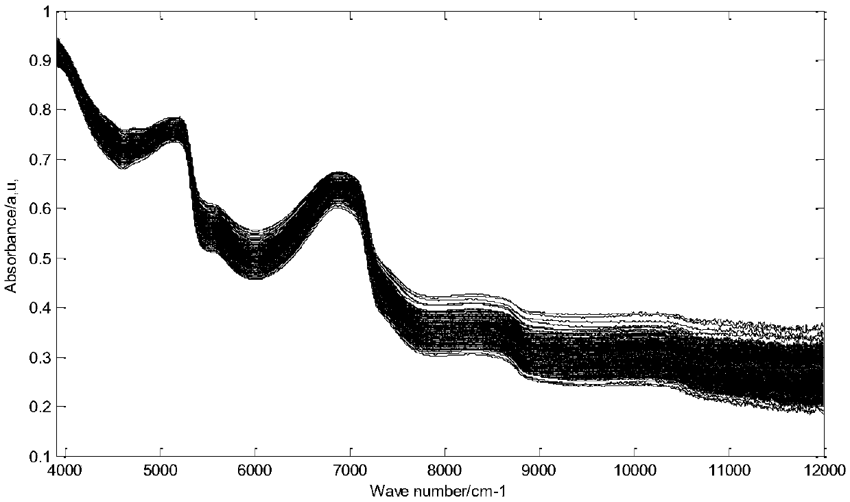 A method for measuring relative DNA content of stripe rust bacteria in wheat leaves