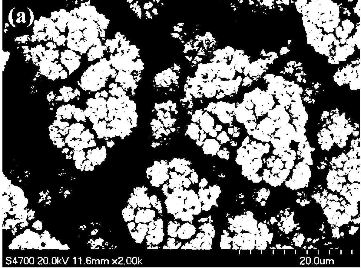 Preparation method and application of polypyrrole-multiwalled carbon nanotube collaboratively-modified palladium-carried composite electrode