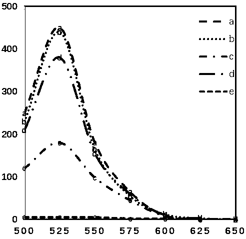 Salmonella detection method and application thereof