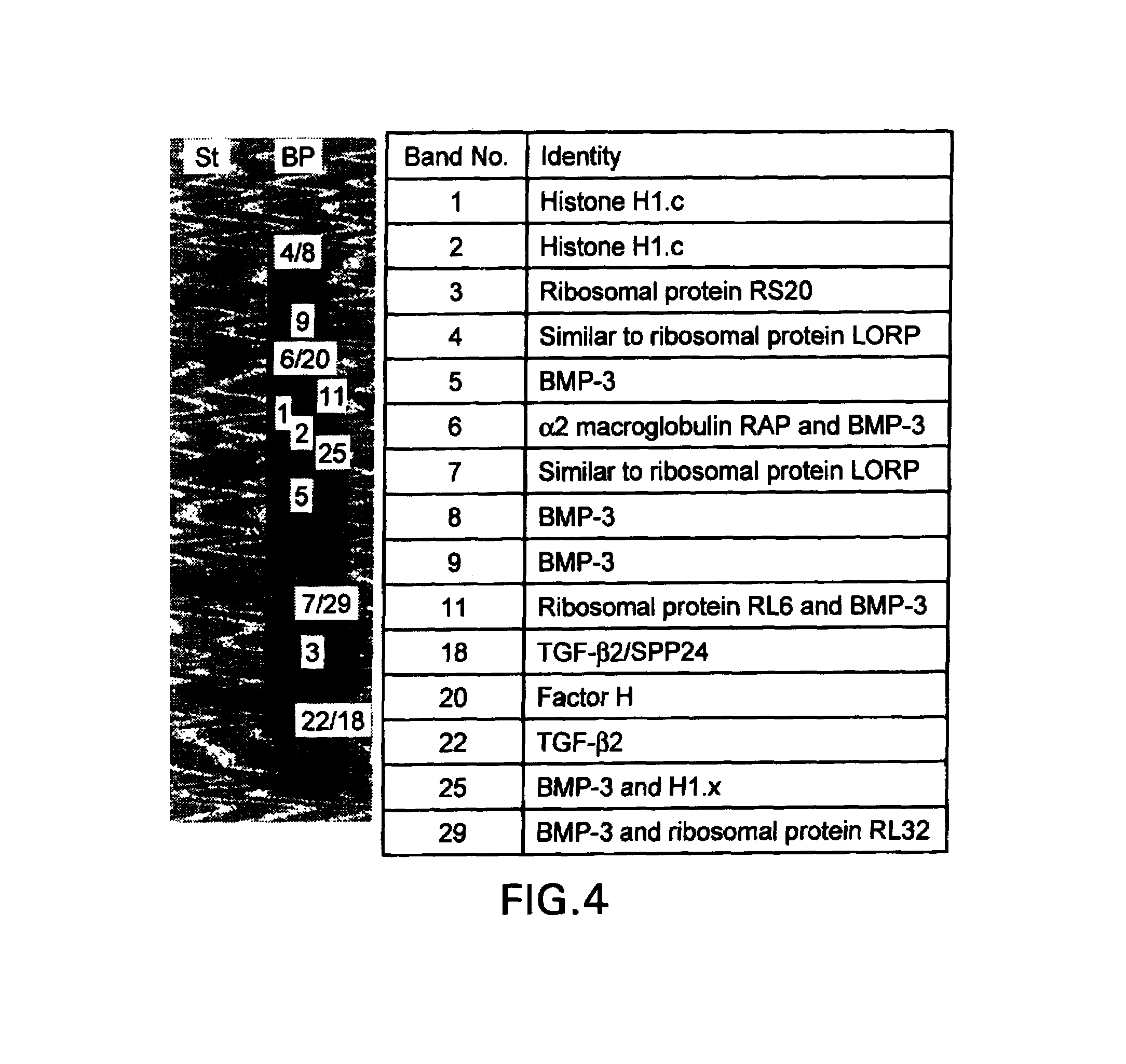 Method of promoting natural bypass