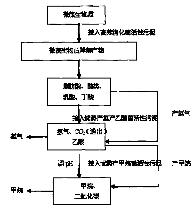 Method for producing bioenergy through microalgae two-step method