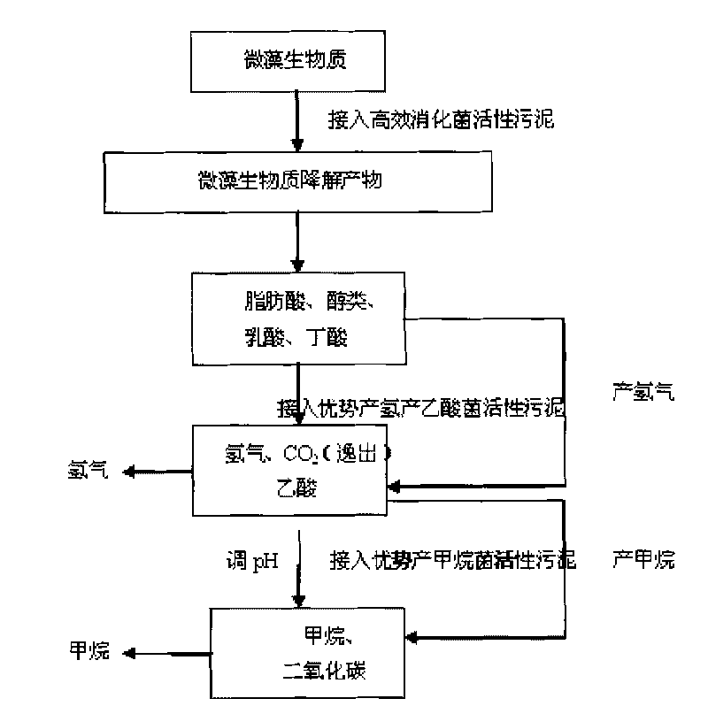 Method for producing bioenergy through microalgae two-step method