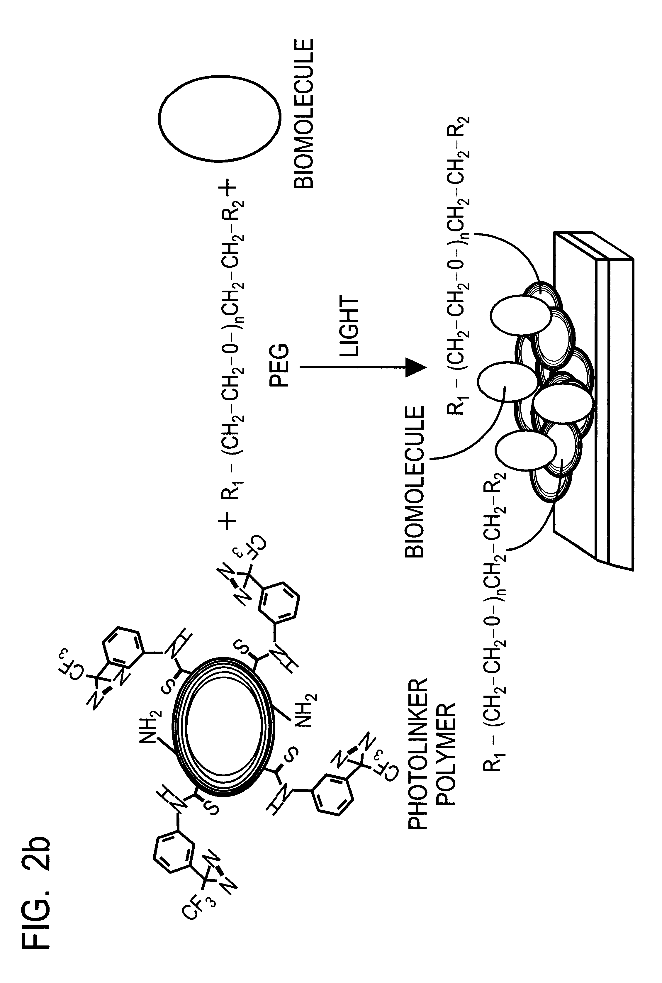 Optical sensor unit and procedure for the ultrasensitive detection of chemical or biochemical analytes