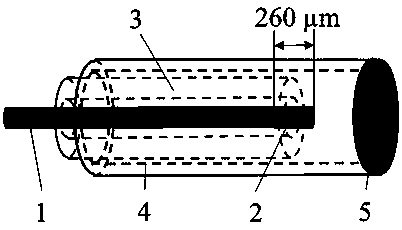 Optical fiber ultrasonic sensor with high signal to noise ratio based on polytetrafluoroethylene (PTFE) film