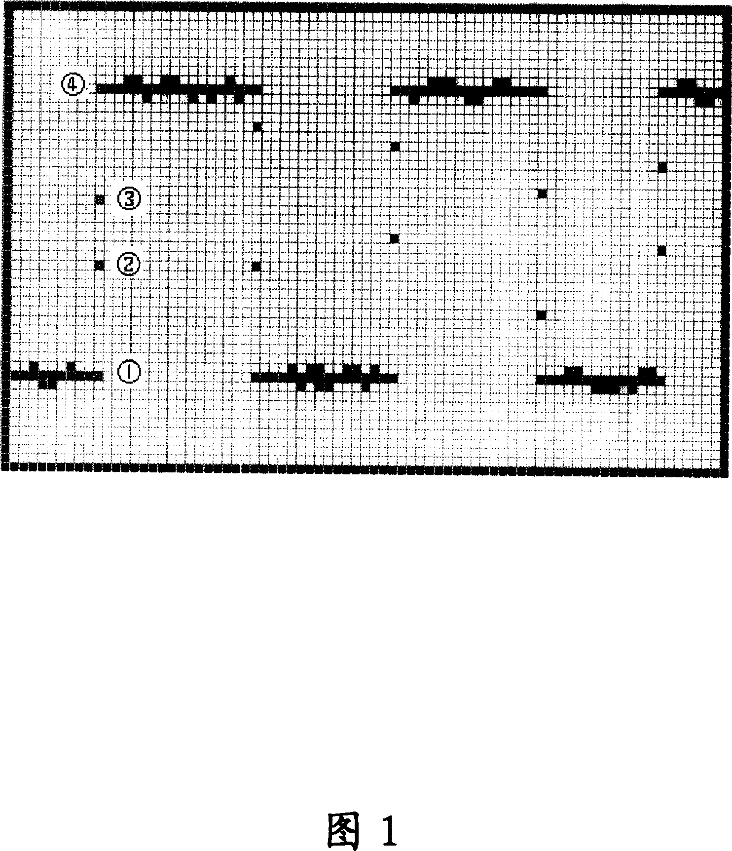 Digital oscillograph and its display method