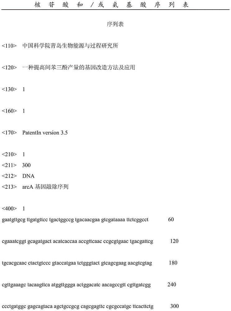 Gene modification method for increasing yield of phloroglucinol and application of same