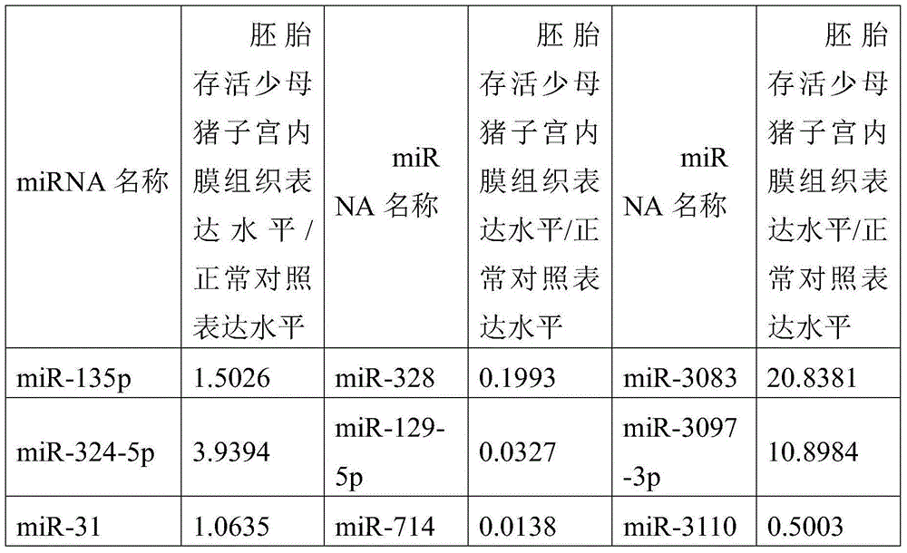 MiRNA (micro ribonucleic acid) molecular marker miR-145 for quickly detecting survival of embryos of sows and application of miRNA molecular marker miR-145