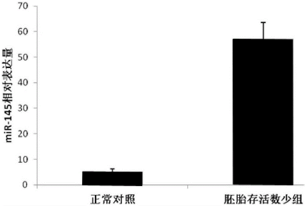 MiRNA (micro ribonucleic acid) molecular marker miR-145 for quickly detecting survival of embryos of sows and application of miRNA molecular marker miR-145