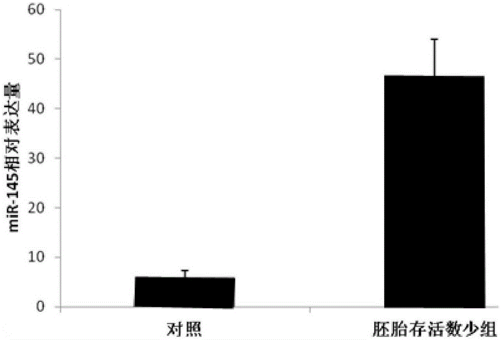 MiRNA (micro ribonucleic acid) molecular marker miR-145 for quickly detecting survival of embryos of sows and application of miRNA molecular marker miR-145