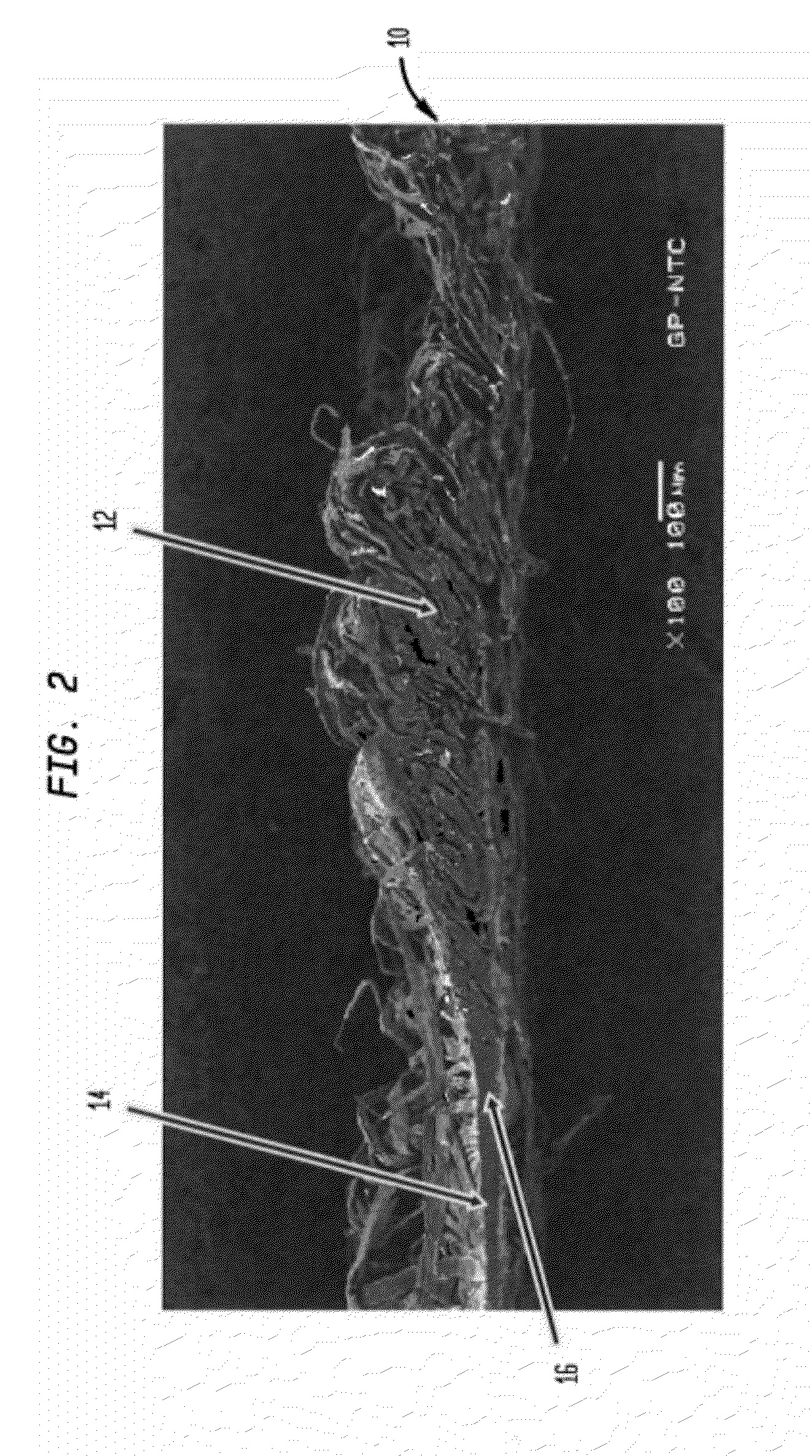 Absorbent Sheet of Cellulosic Fibers