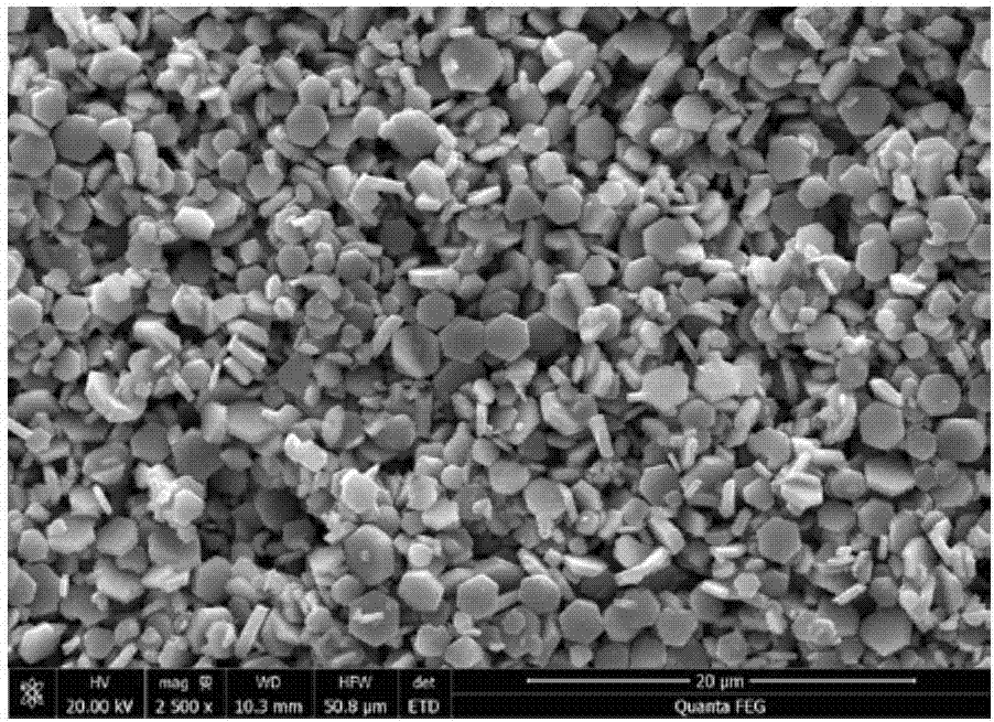 A delafossite-structured CuCoO2 crystal material and a low-temperature preparation method thereof