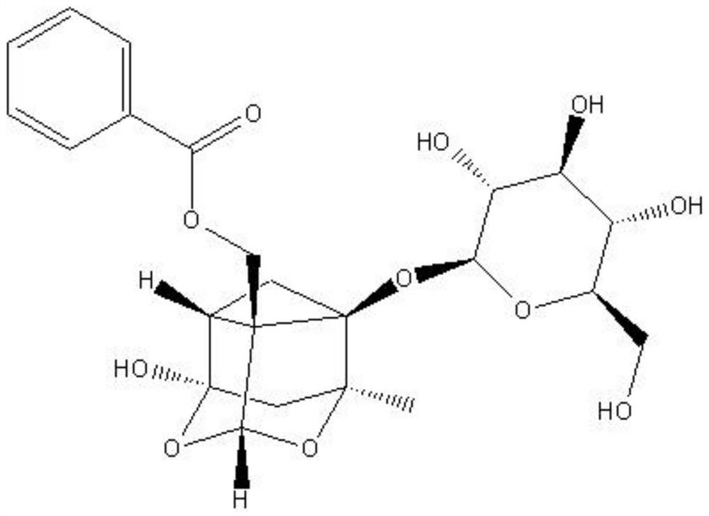 Effect of paeoniflorin in preparation of medicine for promoting survival of ischemic super-long random skin flap