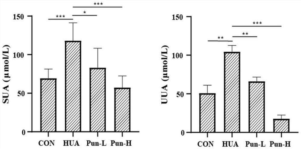 Extract for treating hyperuricemia as well as preparation method and application thereof