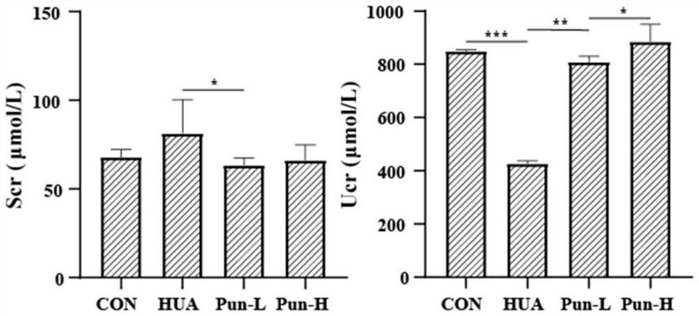 Extract for treating hyperuricemia as well as preparation method and application thereof