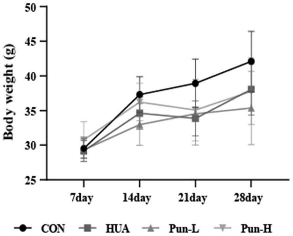 Extract for treating hyperuricemia as well as preparation method and application thereof