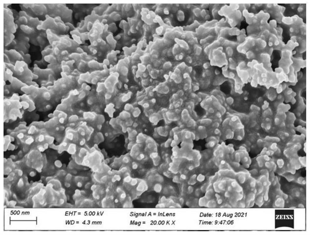 Fluorine-free super-hydrophobic flexible photo-thermal film and preparation method thereof