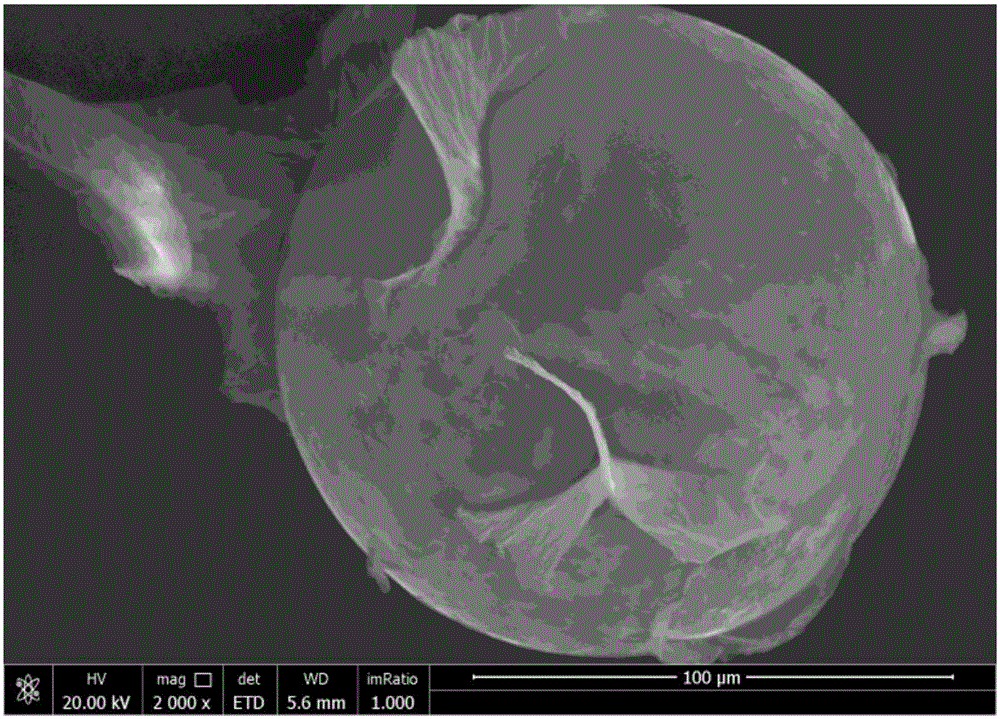 Preparation method for mixed powder of graphene and titanium alloy