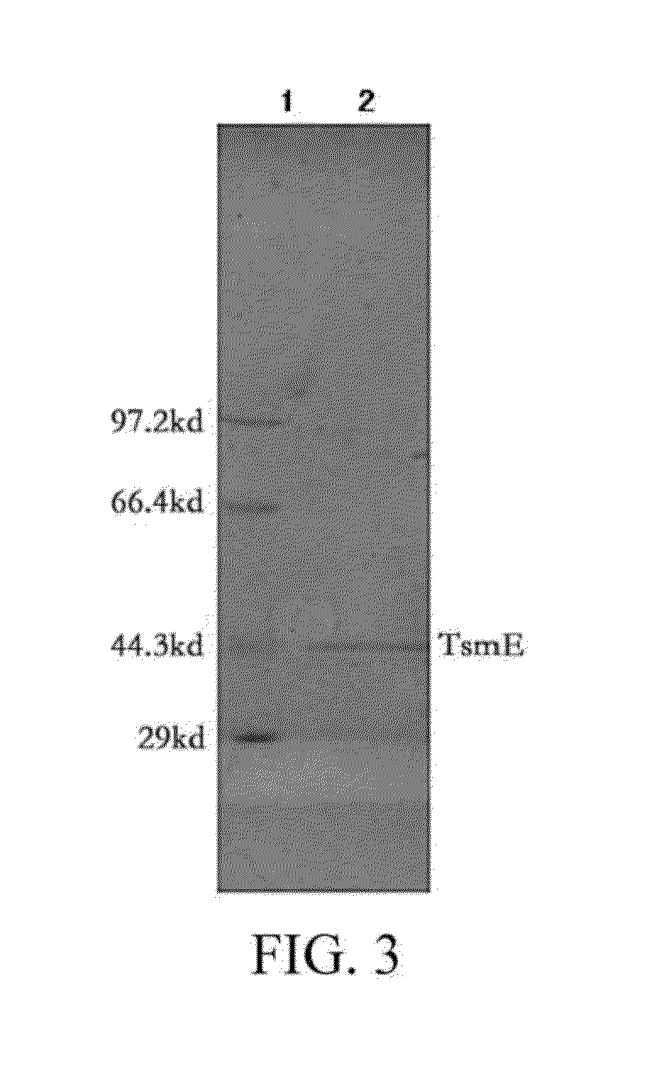 Thifensulfuron hydrolase gene TSME and uses thereof