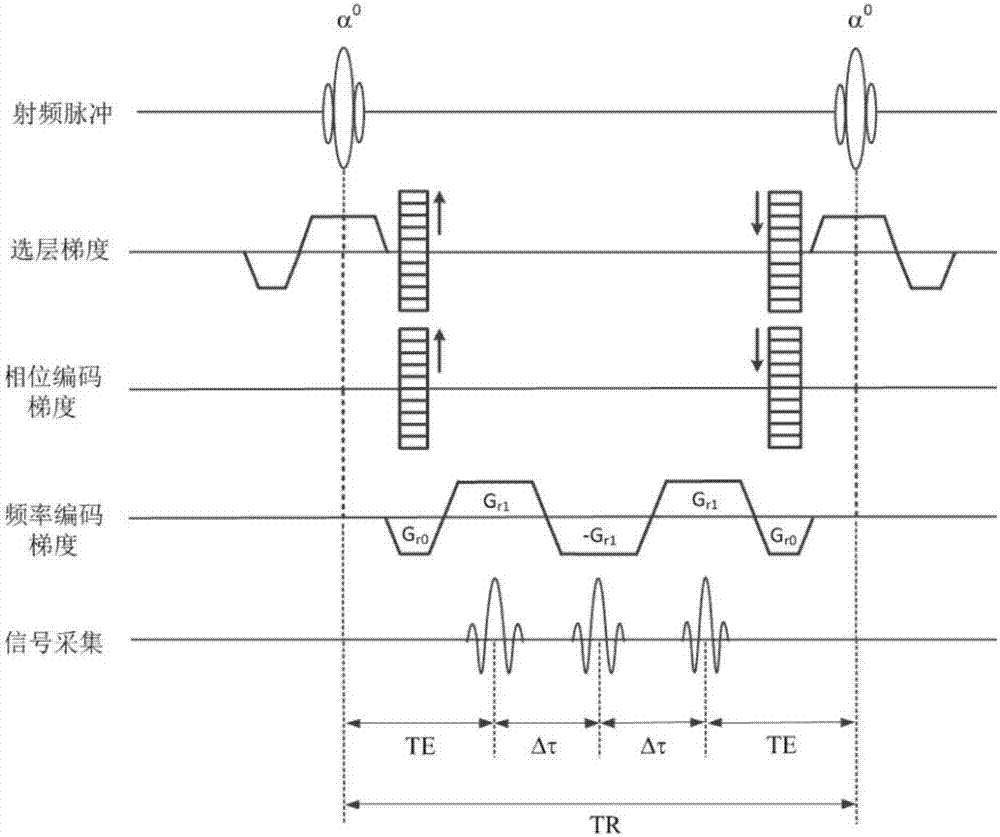 Steady-state procession gradient multi-echo water and grease separation imaging method