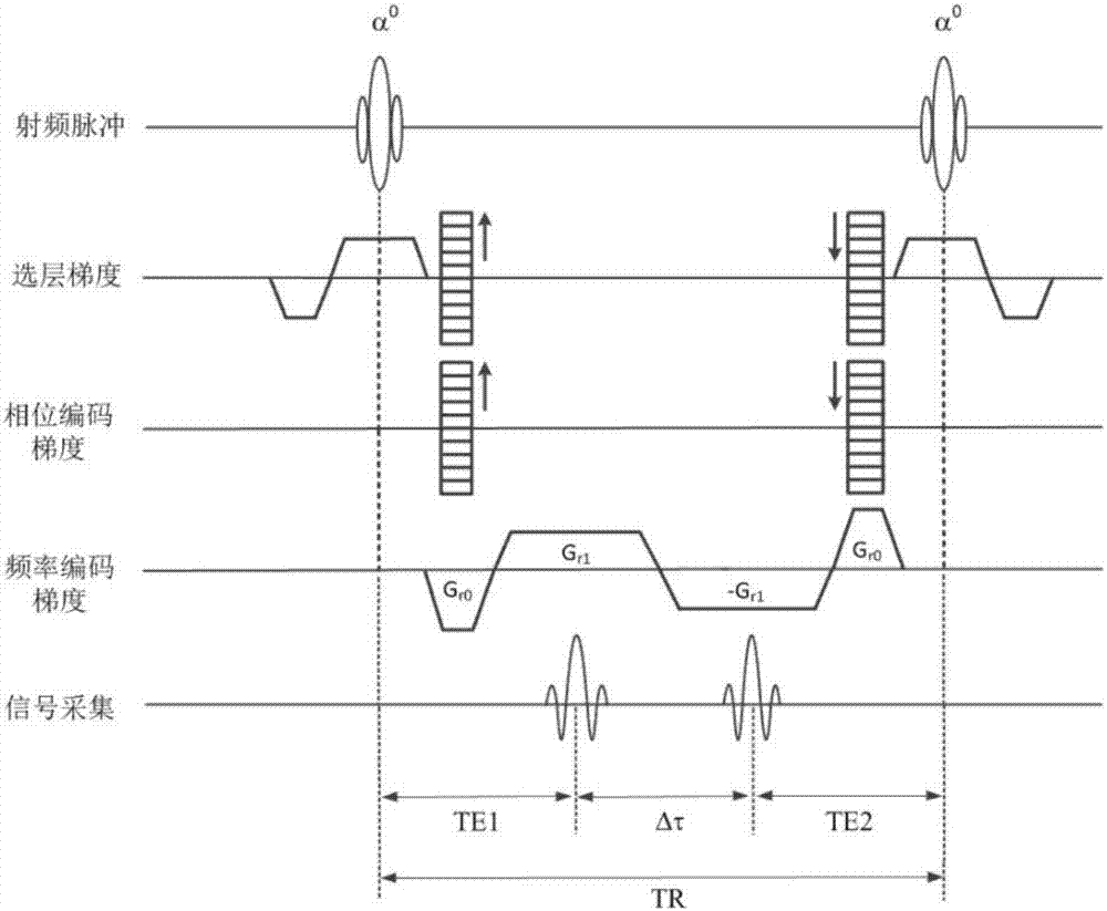 Steady-state procession gradient multi-echo water and grease separation imaging method