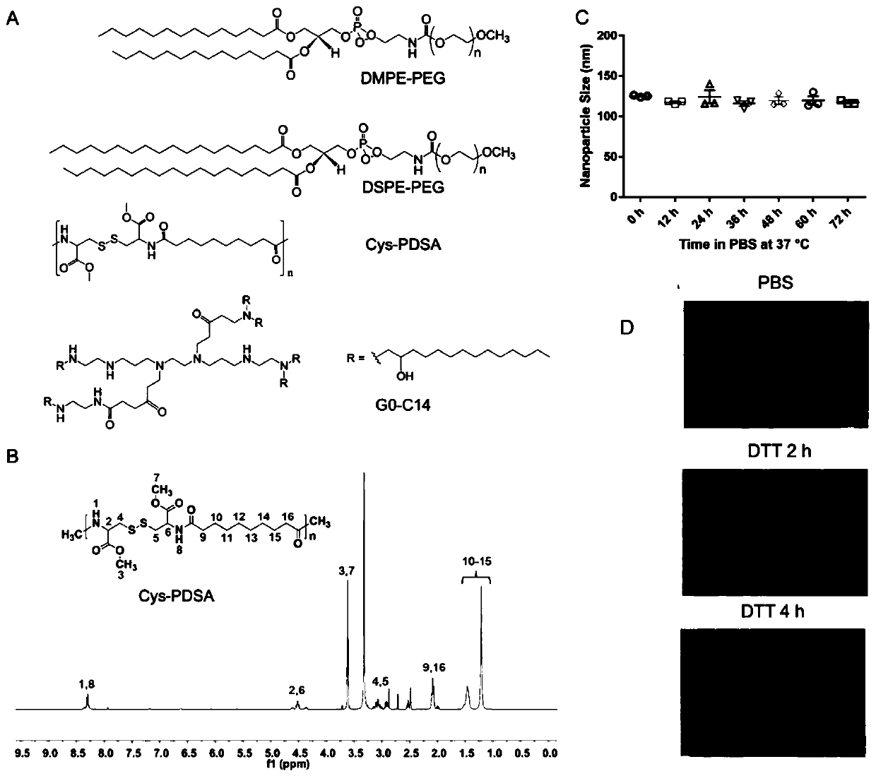 P53 messenger RNA nanoparticles, preparation method thereof and application thereof in preparing drug for treating tumors