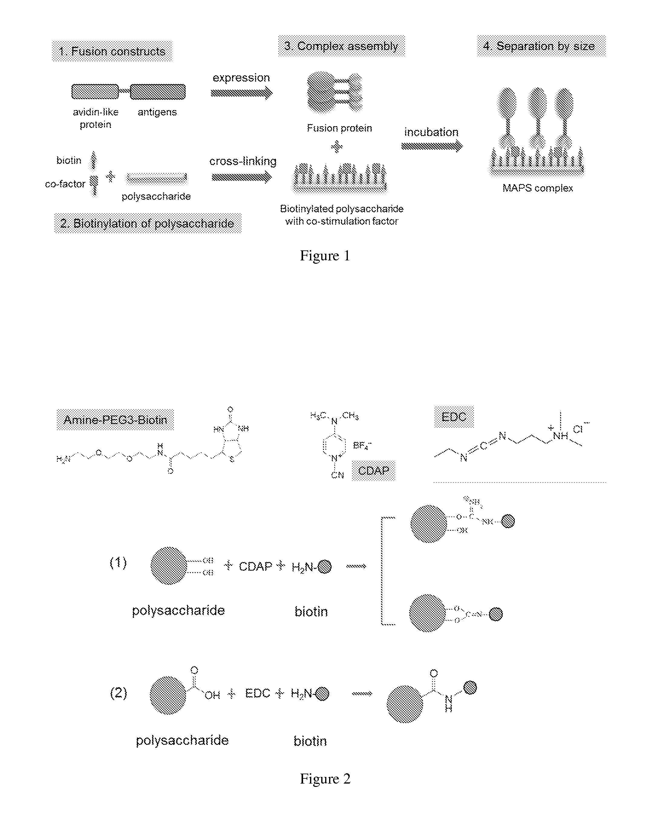 Multiple antigen presenting immunogenic composition, and methods and uses thereof