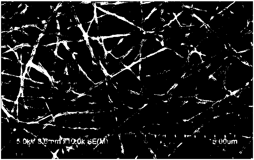 Preparation method of functional chitosan, polyvinyl alcohol and polycaprolactam composite nanofibrous membrane